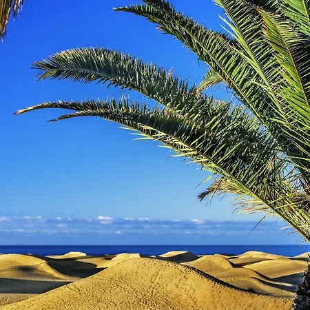 Adelfas South 1 By Canariasgetaway Holiday home San Agustin (Gran Canaria)